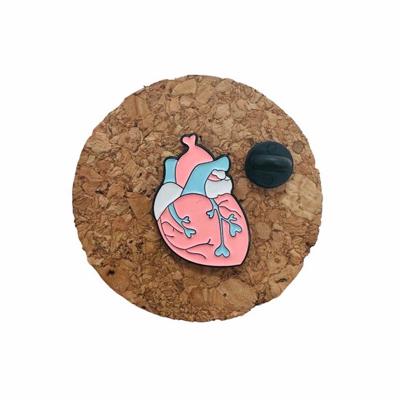 ✨Anatomical Human Heart Shape Enamel Pin Brooch  Pink Blue Trans Heart Pride - Picture 3 of 6
